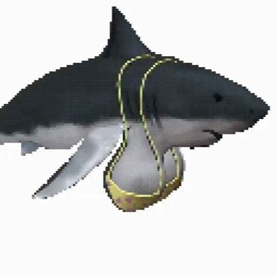 prblmtcsrdnngy's profile picture. 
