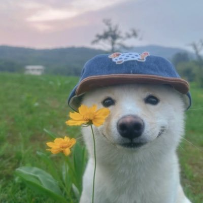 @jekty_meme