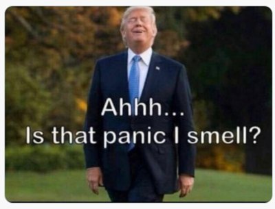 DavidHu68115384's profile picture. Southern "Patriot- Rock n "Roller - "producer of Songs that will make "Millions"!!! "America 1st!!! "Trump 2024"!!! "MAGA "Ultra"!!!