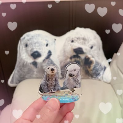きなこʕ•̫͡•ʔ💙SKZさんのプロフィール画像