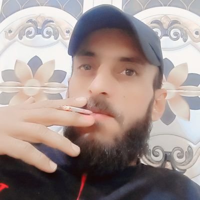 AilAil03800362's profile picture. 