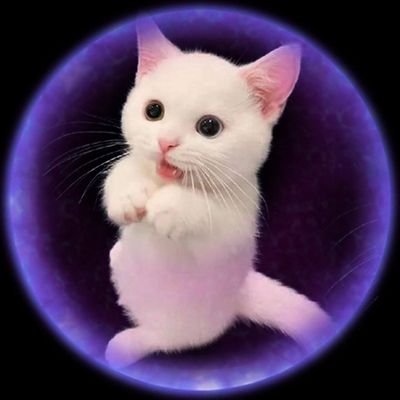xyclopz164206's profile picture. 