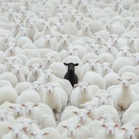 ذو الرابعه والثلاثون'' (@a91lla) Twitter profile photo