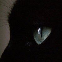 ulla (@akkjl89) 's Twitter Profile