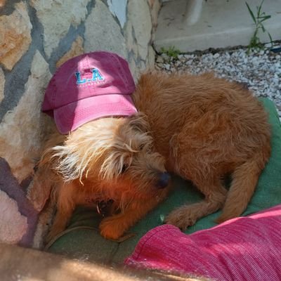 Down25aturn's profile picture. 𝕳𝖔𝖚𝖘𝖙𝖔𝖓. 𝖂𝖊 𝖍𝖆𝖛𝖊 𝖆𝖓 𝖎𝖘𝖘𝖚𝖊