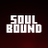 SoulBoundSMP's profile image