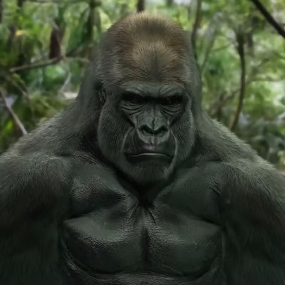 the_king1945's profile picture. nazis are gay lol