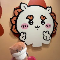 のほ (@noho_trhk) 's Twitter Profile
