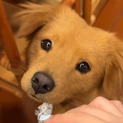Gideonさんのプロフィール画像