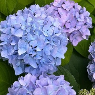 photospy_kun's profile picture. 20↓写真勉強中です！
空想と現実の間の視線みたいな風景写真を撮っています