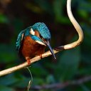 Ross Bennett - @RossBen78267843 - Twitter