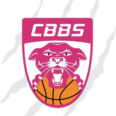Compte officiel du CHARNAY BASKET Bourgogne Sud, équipe professionnelle #LFB #Pinkies #CBBS