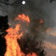 AmandaGate66091's profile picture. Milenio Xero