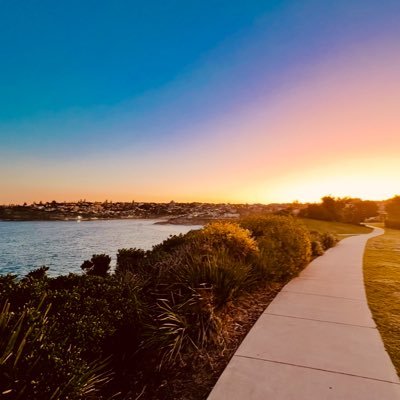 Crypto Camper Profile