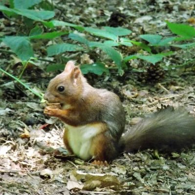 Vic354735522203's profile picture. 