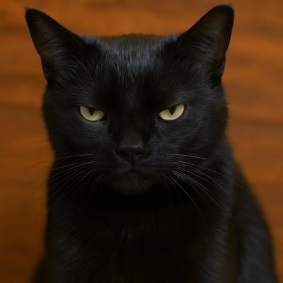 SaltyCatChron's profile picture. U.S. Army Vet. Equal-opportunity snarker. No personality cults. No groupthink. No image, nor flesh as God. The cat remains unmoved. 🐾