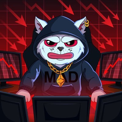 MadcatBNB's profile picture. It’s time for final revenge — MadCat is born on BNB, because Solana is for jeets.