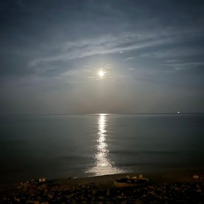 RED_BARON666's profile picture. 