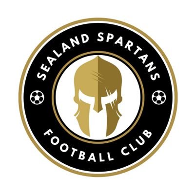 sealandspartans's profile picture. Our aim is to allow children to play football in a community that didn't previously have a team of it's own to play in the Flintshire Youth League & 2 cups