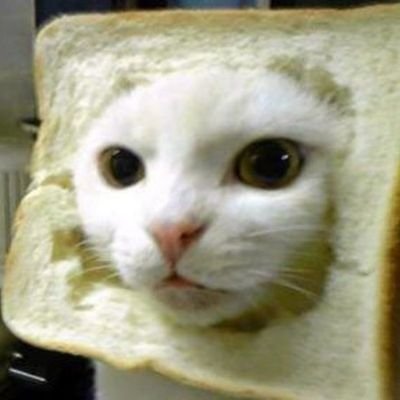 USSENZ's profile picture. $eths$ethi $FBwangcai
The new engine leading the take-off of the cryptocurrency world @INBREDCATONSOL