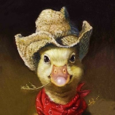 Almirante Pato 🦆さんのプロフィール画像