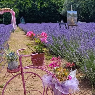 ZuhalTiryakiler's profile picture. VATAN
🇹🇷🇹🇷🇹🇷🇹🇷🇹🇷
MUSTAFA KEMAL'İN ASKERLERİYİZ