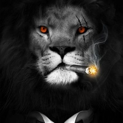 serginioDonixya's profile picture. 