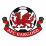 ABargoed's profile picture. AFC Bargoed play in the Taff Ely and Rhymney Valley Football League
