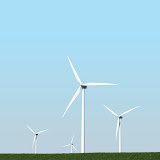 TheWind_IsCold's profile picture. 