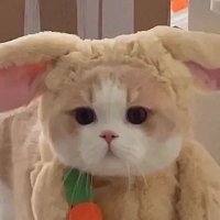 ㄹㄹ (@gkvsdnjs) 's Twitter Profile