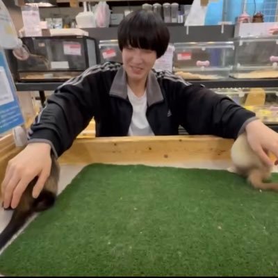 炙りなタウン on X: 