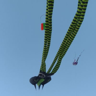 TirsoMatus5183's profile picture. ....  Rojinegro de Corazón...  Oaxaca,  orgulloso ser parte de ti...