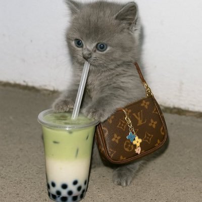 wnfarahani's profile picture. Sometimes, i'm funny. ¯\_(ツ)_/¯