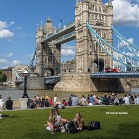 Assignment_hub (@assignment52751) 's Twitter Profile