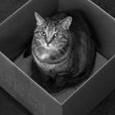 H_Rocket05's profile picture. pronouns Is and Isn't