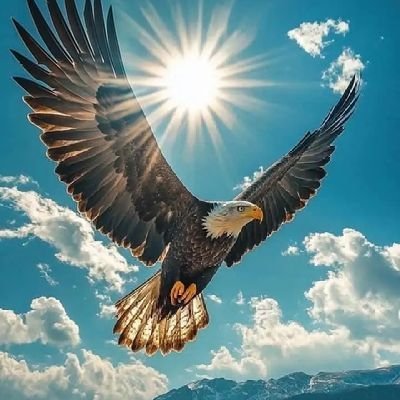 @swd16671