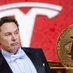 Groklon musk (@elon_ceo_boring) Twitter profile photo Groklon musk (@elon_ceo_boring) Twitter profile photo