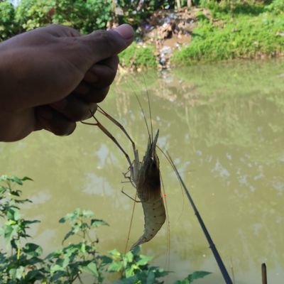 Bintulb1's profile picture. papperhand.isme

crypto trade and investman  @tonnel_network

#SomniaNetwork