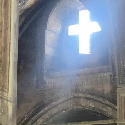 kaan0pm's profile picture. tum paralarım lila