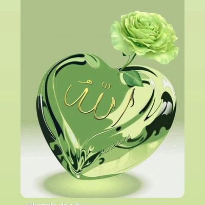 TrmanWhyd97297's profile picture. 