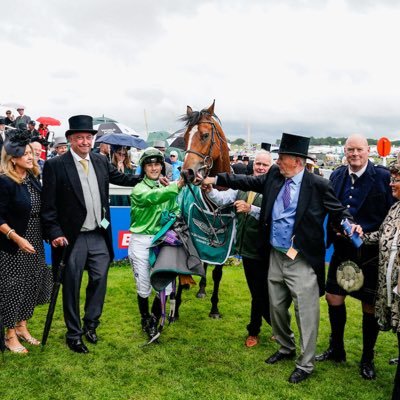 horse racing and Sheffield Wednesday