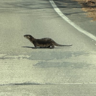 joanhilton1998's profile picture. Proud Christian, Happily married, Army veteran, America first, pro-gun, pro-life, anti-vax. Major Trump/Vance supporter! DM’s result in immediate block!