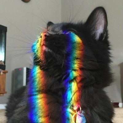 空を見てるさんのプロフィール画像