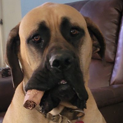 BTooloud73447's profile picture. Retired military, ALS survivor (15 years) Husband, Father, Christ loving. Constitutional conservative. MBA