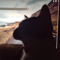 ルン (@bleedwithhate) 's Twitter Profile