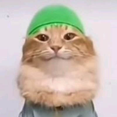 Kochita880254's profile picture. Skibi doilet