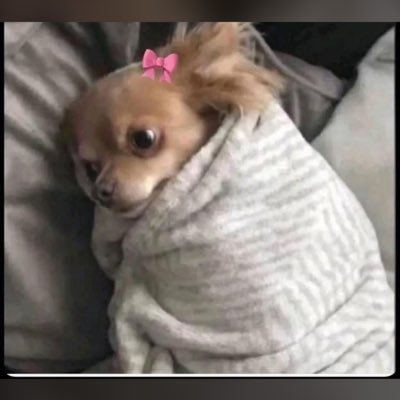 izegurll's profile picture. ♍.....  music lover❤