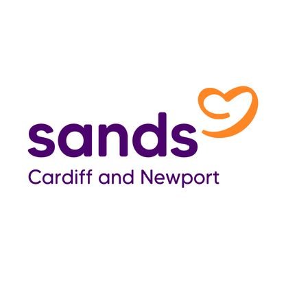 CardiffNewport SANDS Profile
