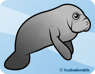 pscherph's profile picture. Children's librarian in PA.