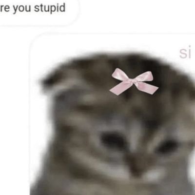 Revolutionaar's profile picture. 